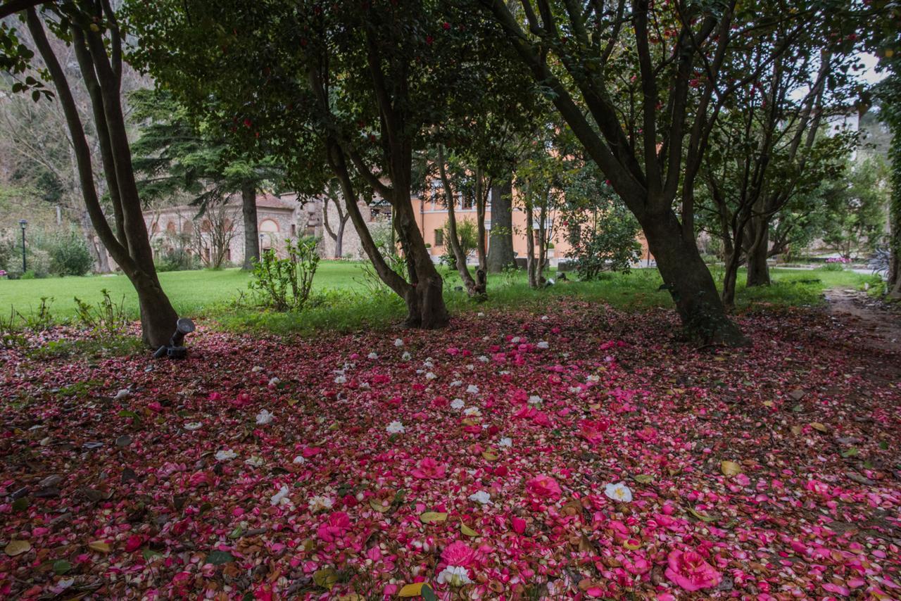 Relais Corte Rodeschi Camaiore Eksteriør bilde