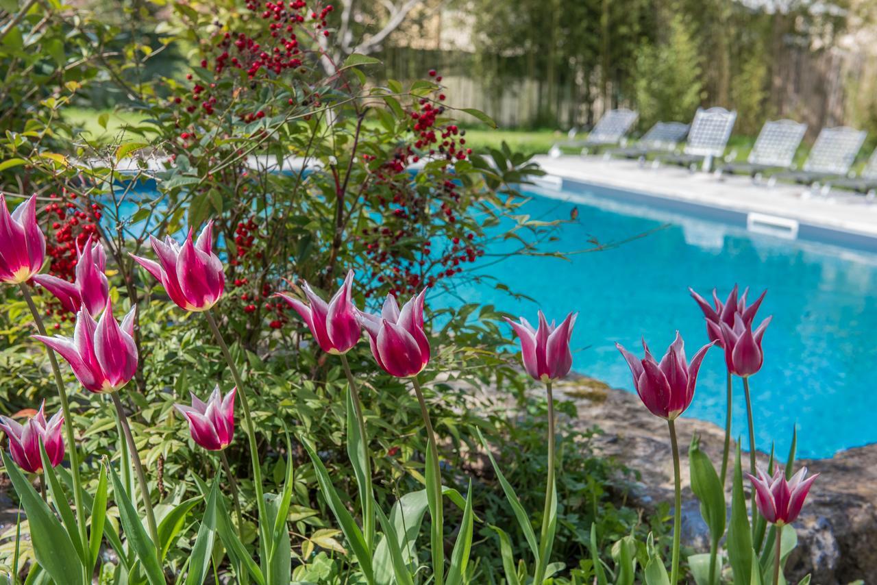 Relais Corte Rodeschi Camaiore Eksteriør bilde