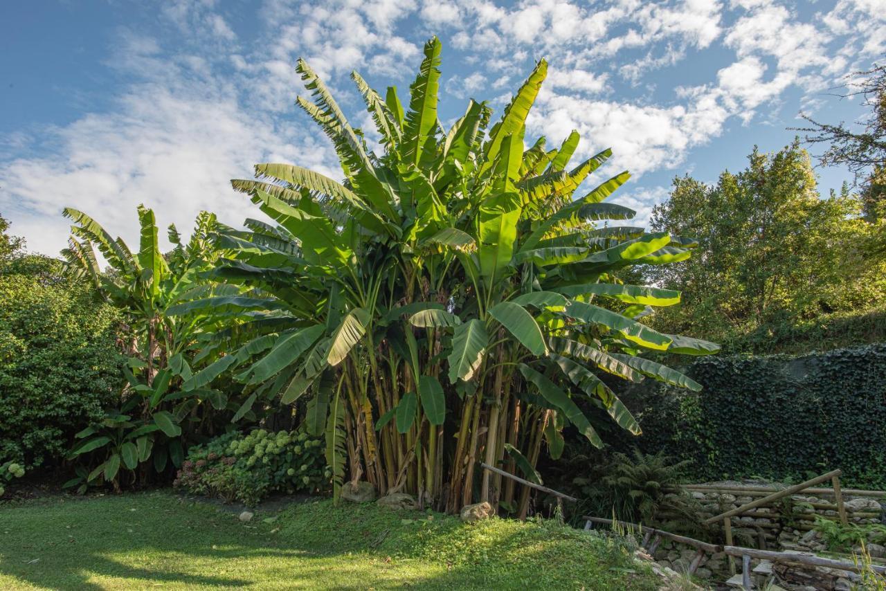 Relais Corte Rodeschi Camaiore Eksteriør bilde