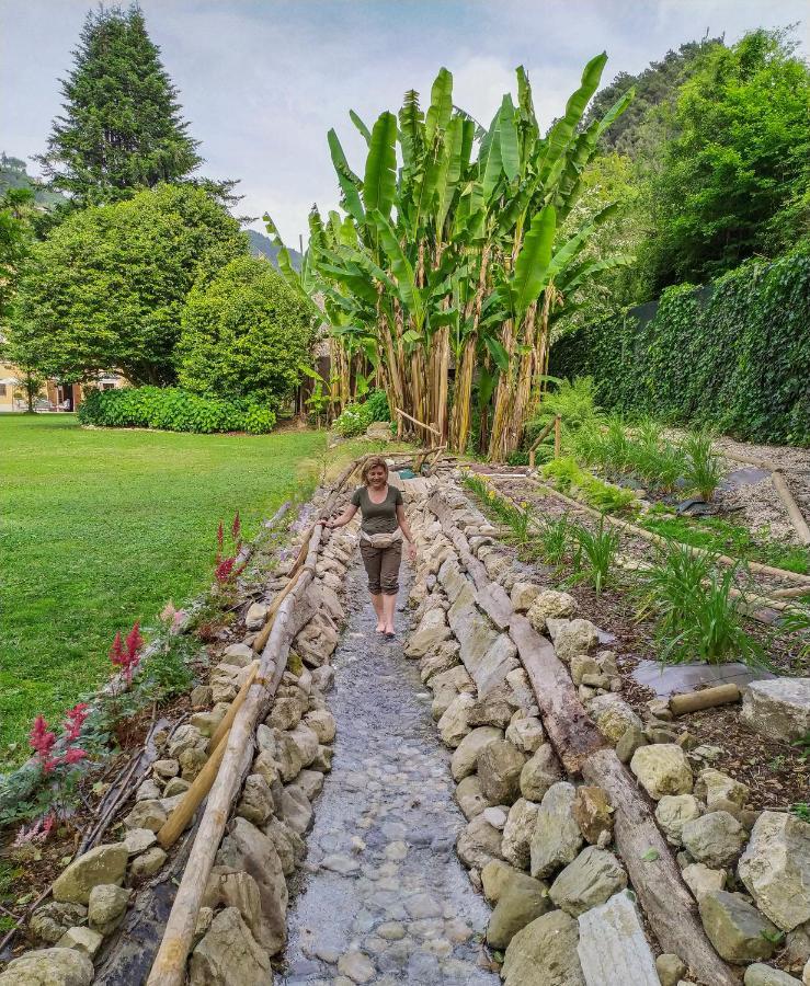 Relais Corte Rodeschi Camaiore Eksteriør bilde
